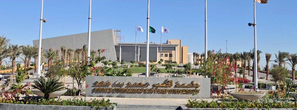 Prince Mohammad Bin Fahd University Logo
