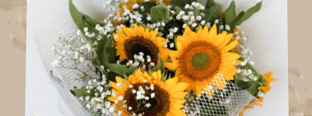 Best Tcs Sentiments Express Deals Discounts Sep 2025