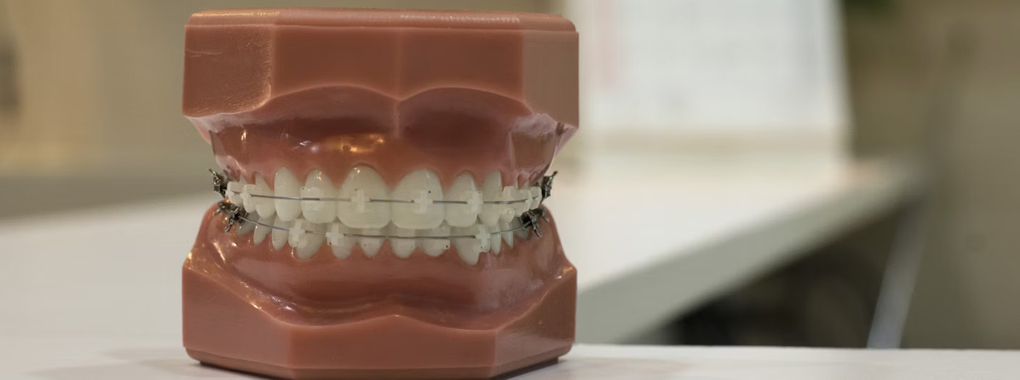The Dental Clinic by Dr. Saqib Minhas