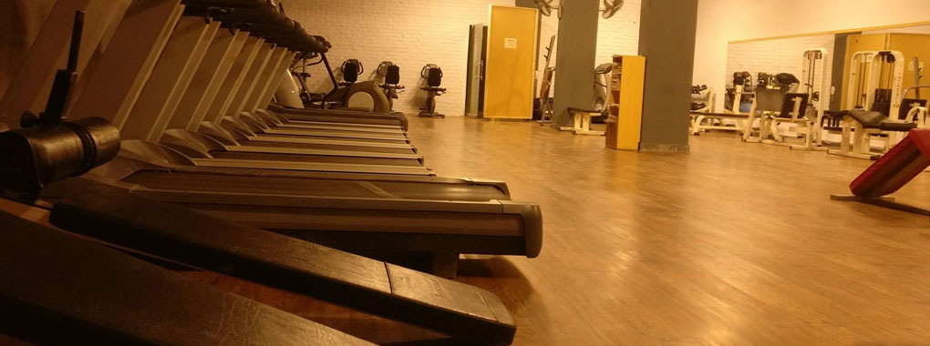 Safari Gym