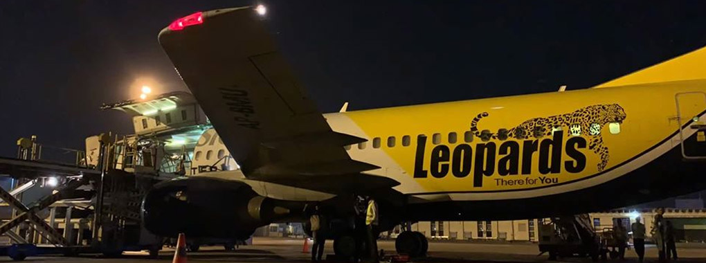 Best Leopard Courier Service Deals & Discounts (Nov, 2023)