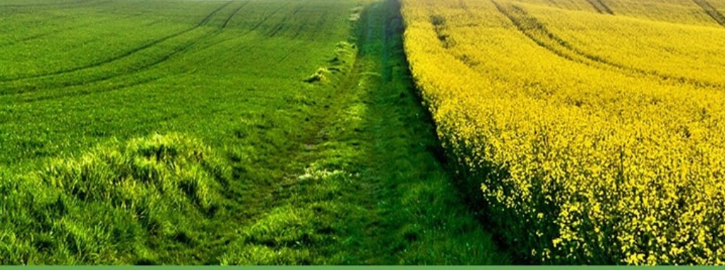 Green Agrimall