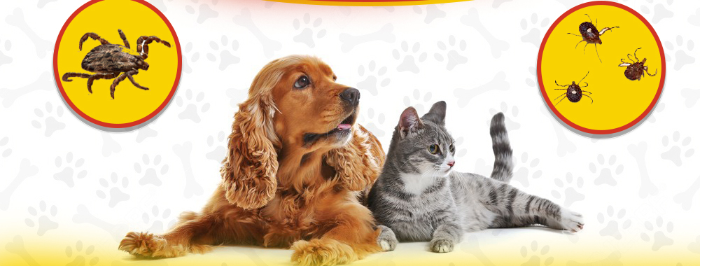 Arslan Pets Clinic 