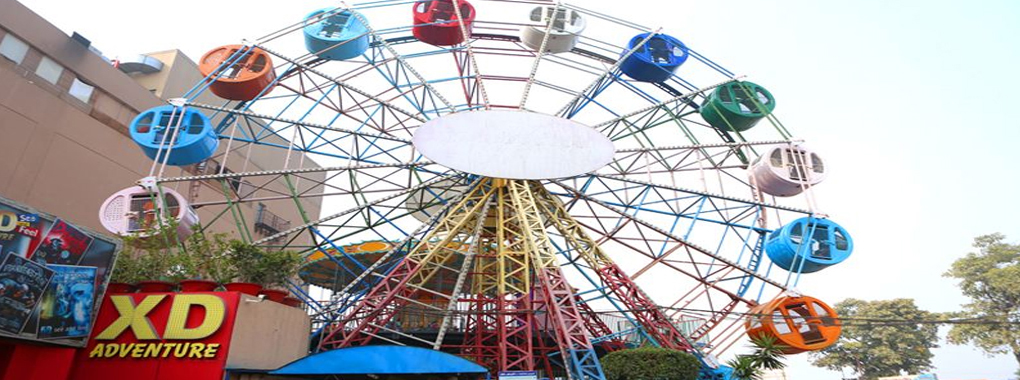 Joy Land