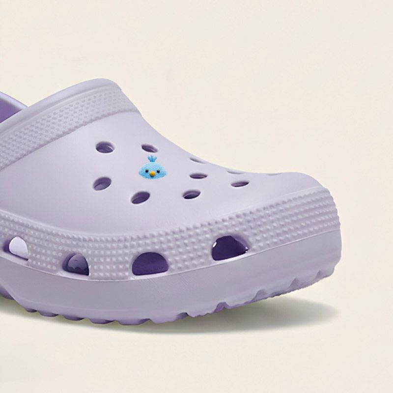 Birdsoles photo 1