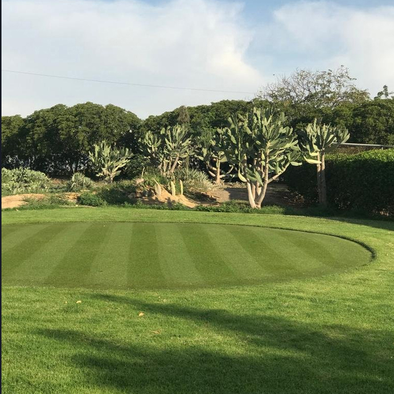 Karachi Golf Club photo 2