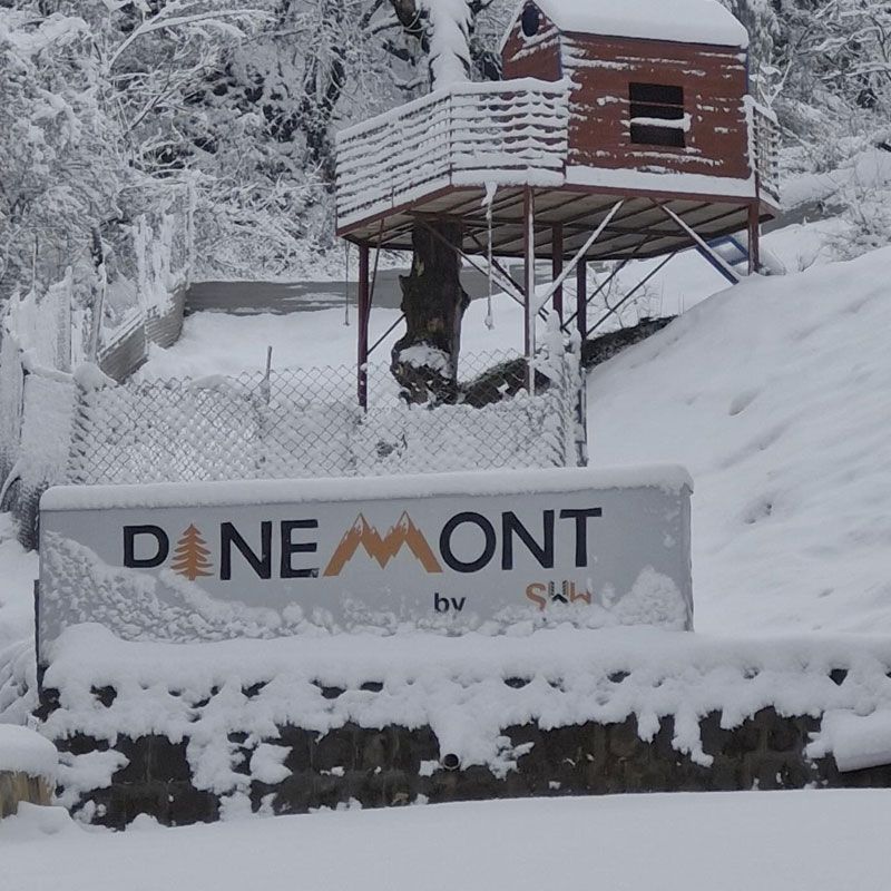 Pinemont.pk photo 2