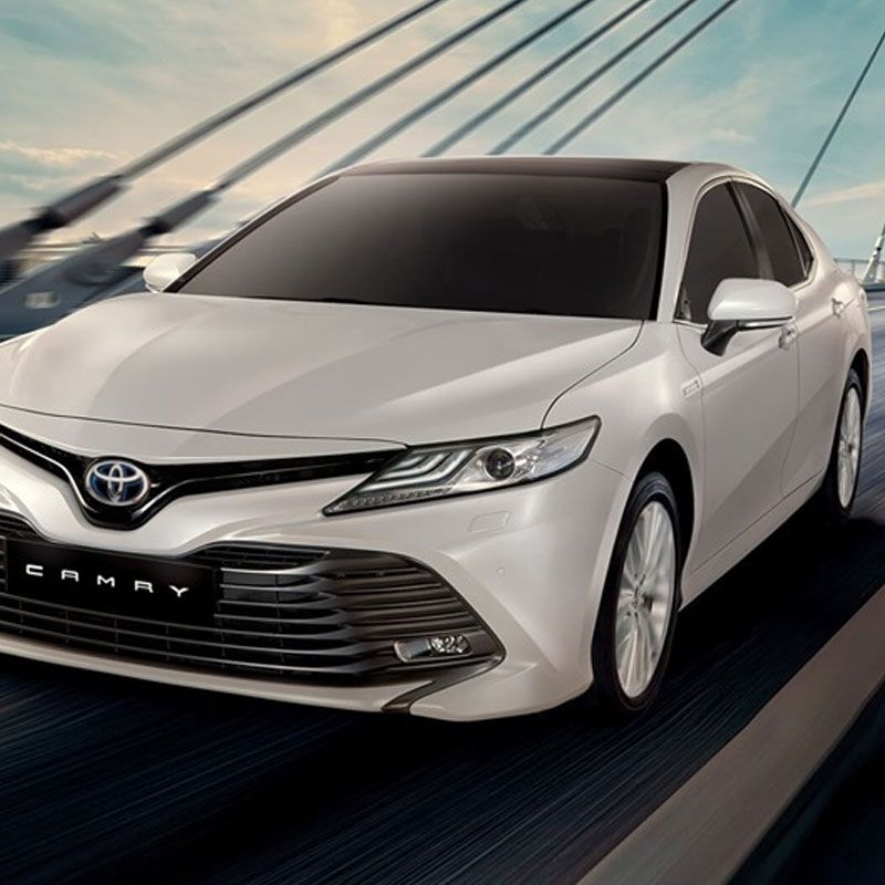Toyota Society Motors photo 2