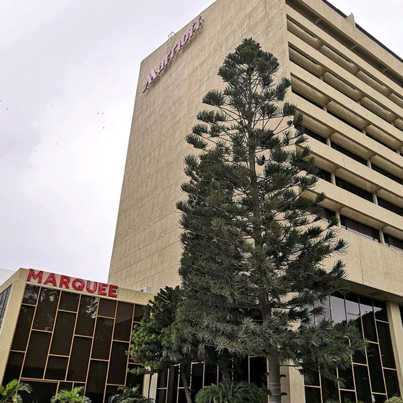 Marriott Hotels & Resorts photo 2
