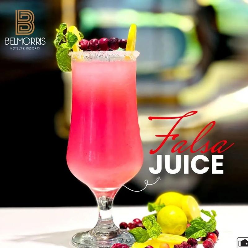 Belmorris Hotels & Resorts photo 3