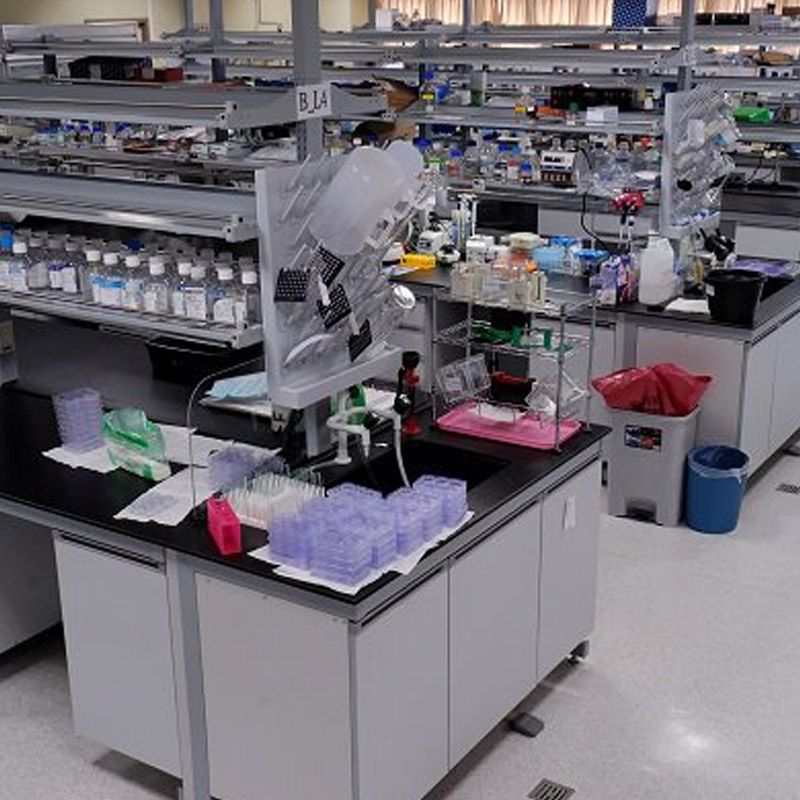 Dr Essa Laboratory & Diagnostic Centre photo 2