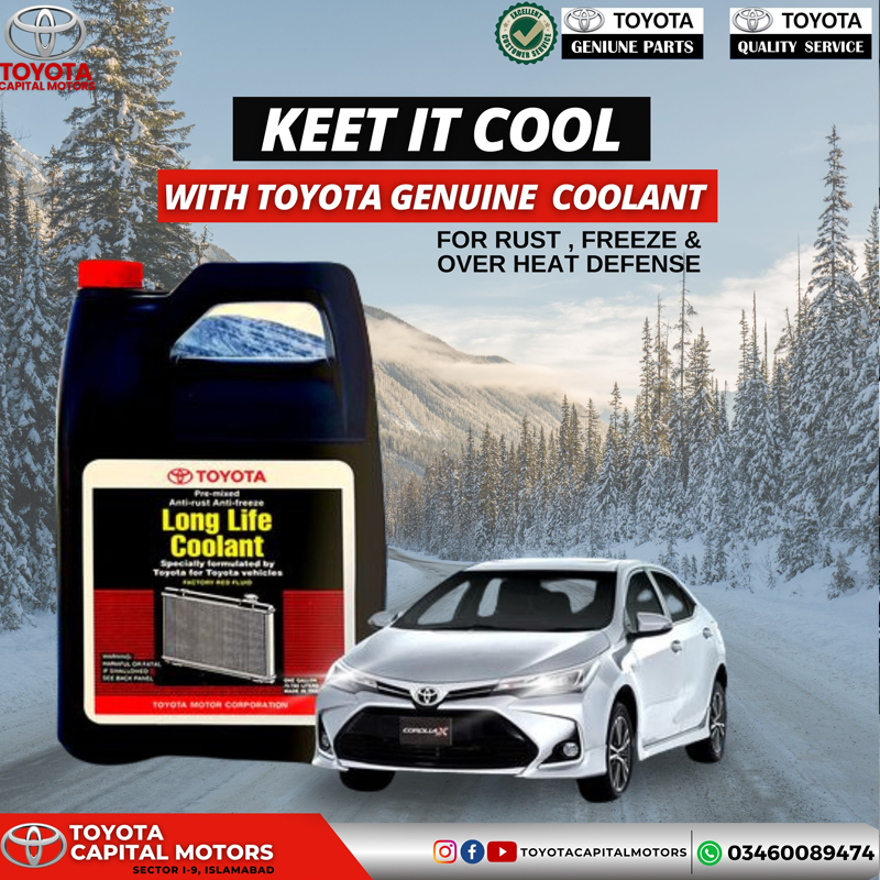 Toyota Capital Motors photo 5
