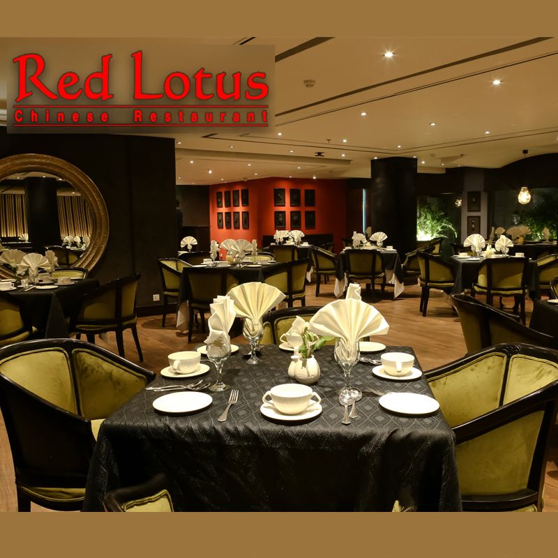 Red Lotus - Four Points by Sheraton photo 3