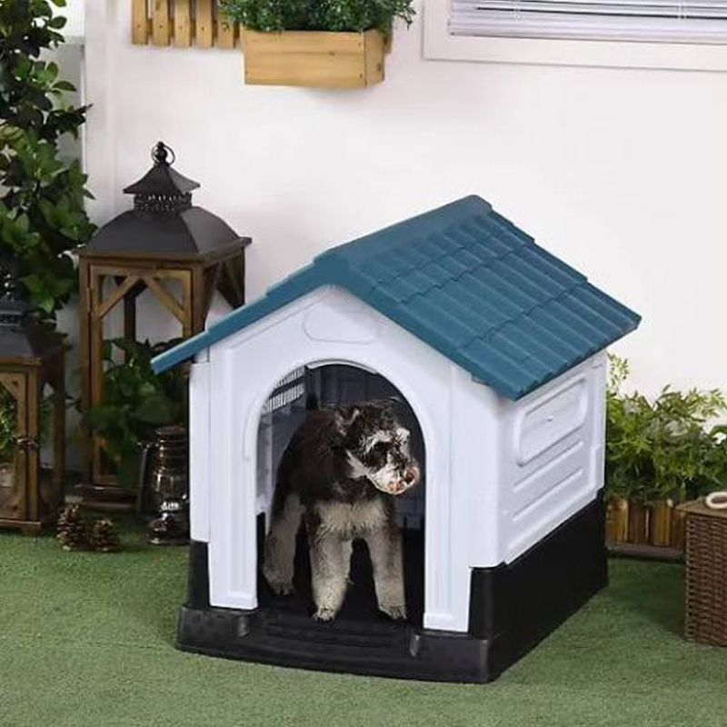 Pets City photo 1