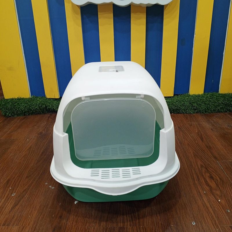 Pets City photo 4