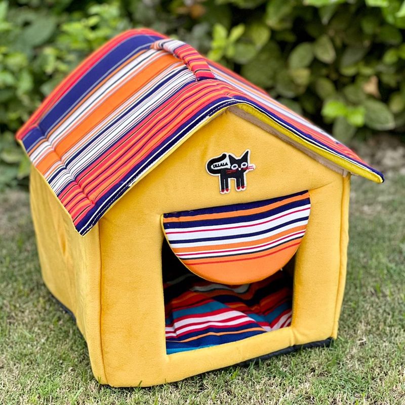 Pets City photo 5
