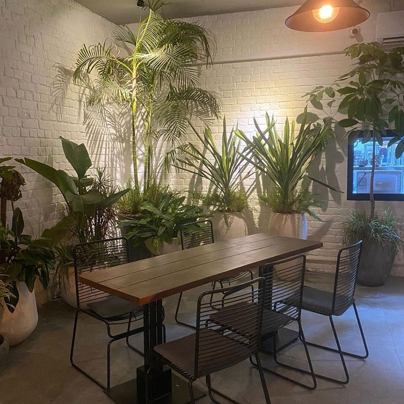 Dahlia Nursery Cafe photo 5