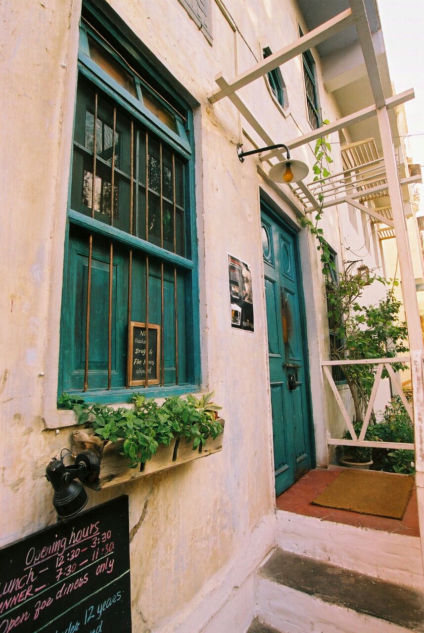 Okra photo 6