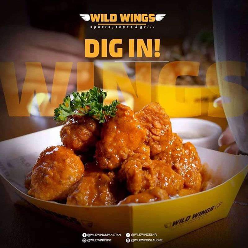 Wild Wings photo 4