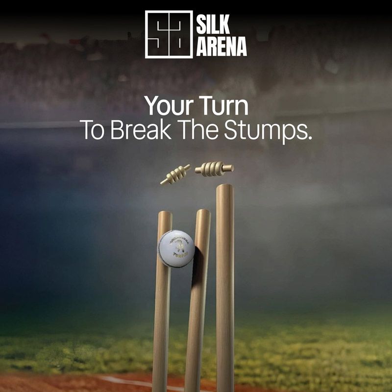 Silk Arena photo 4